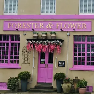 The Forester And Flower Guest house